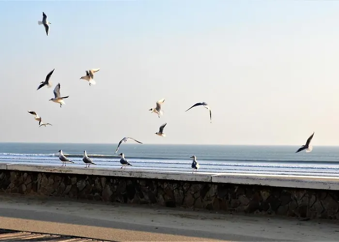Mobil Proche Du Paradis Des Plages * Saint-Jean-de-Monts