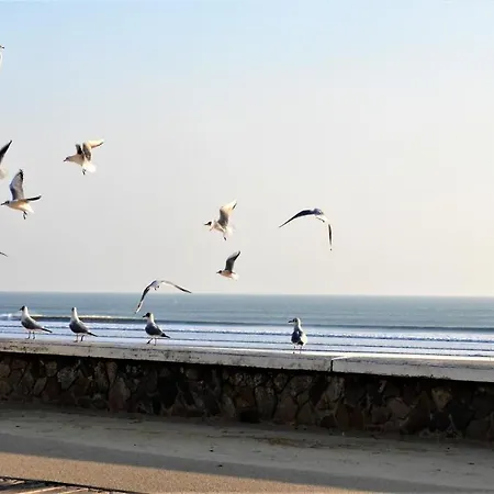 Mobil Proche Du Paradis Des Plages * Сен-Жан-де-Мон