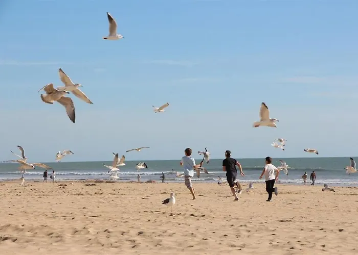 Camping Mobil Proche Du Paradis Des Plages *
